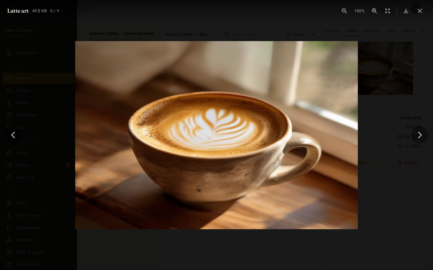 Previewing a file in the browser — no download needed